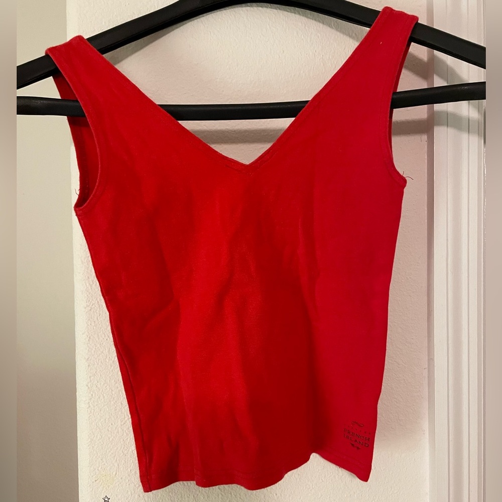 Vintage Express Crop Top